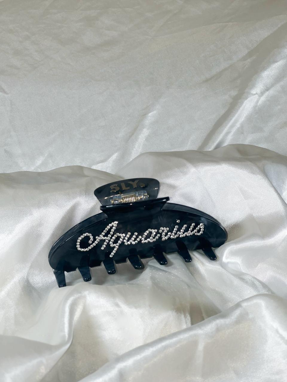 Zodiac Hair Clips