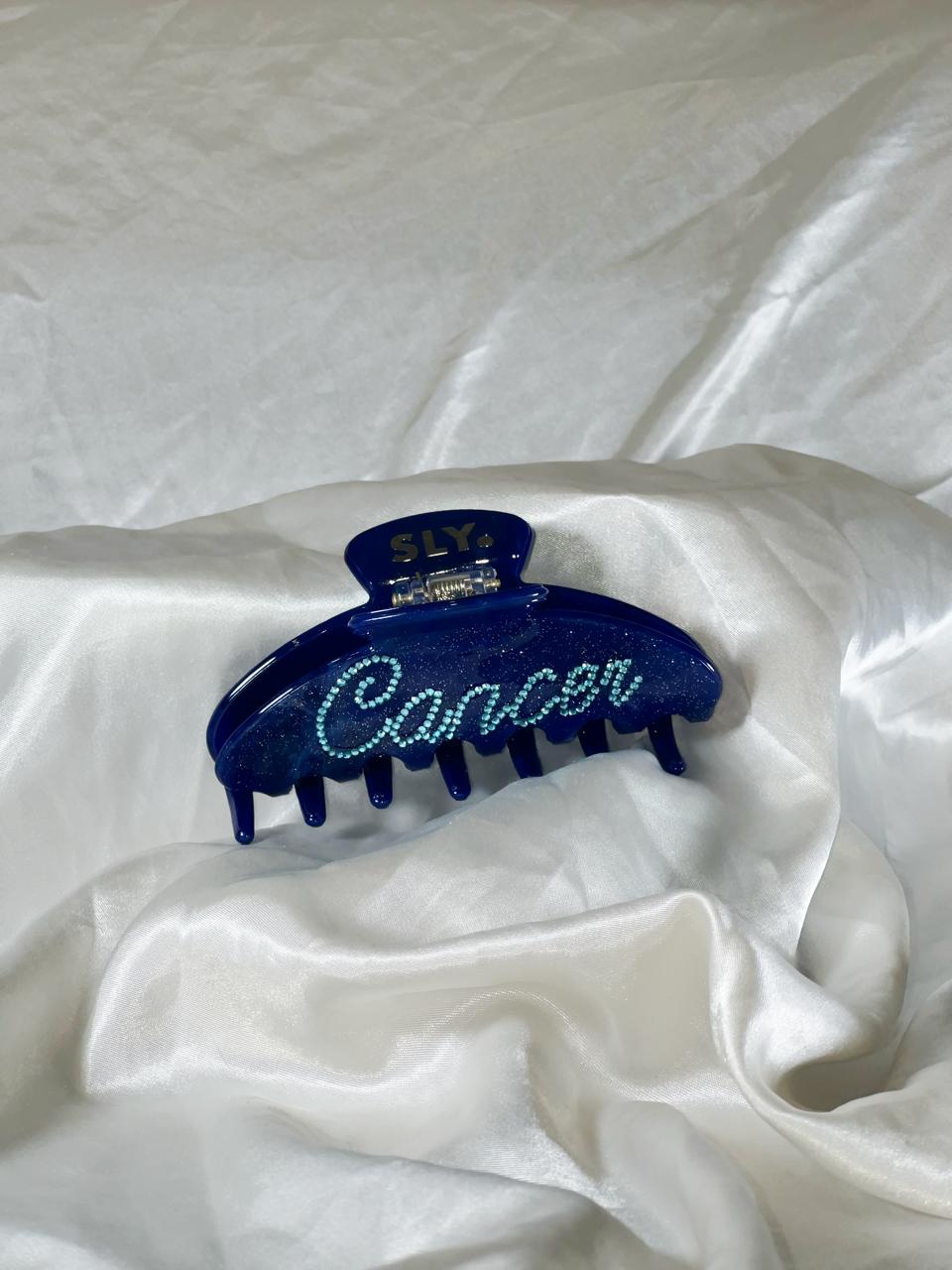 Zodiac Hair Clips